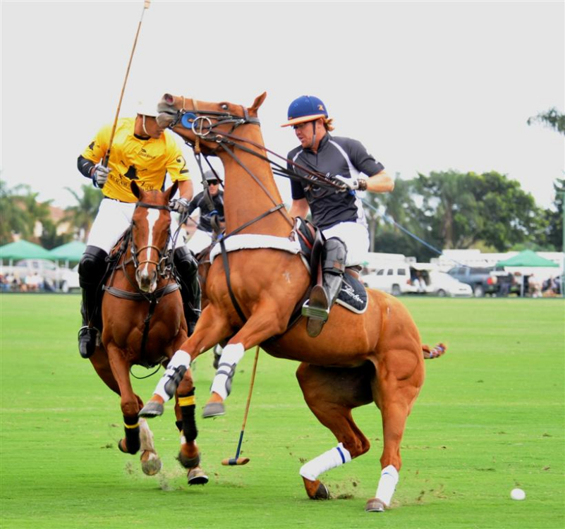 amidelamer-POLO Magazine- IPC Polo Club-polo photos 4
