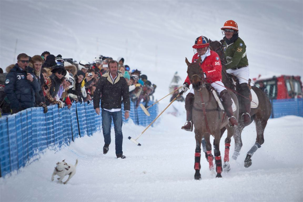bmw polo masters polo magazine morgane delfosse dimanche 3 f 64