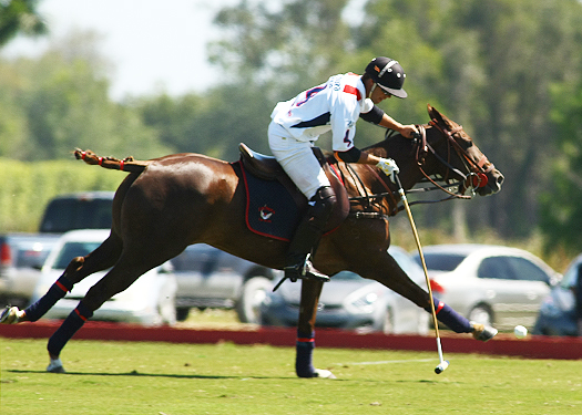 USPA Piaget Gold Cup photos 4