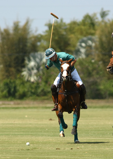 alex pacheco polo magazine Polo site polo 2013 polo time polo team polo online polo.com international polo club polo usa polo wellington florida. 7