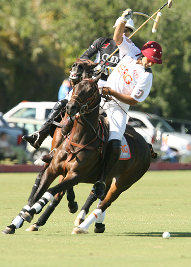 alexpacheco polo photos polo teams erg ipc polo club florida 3