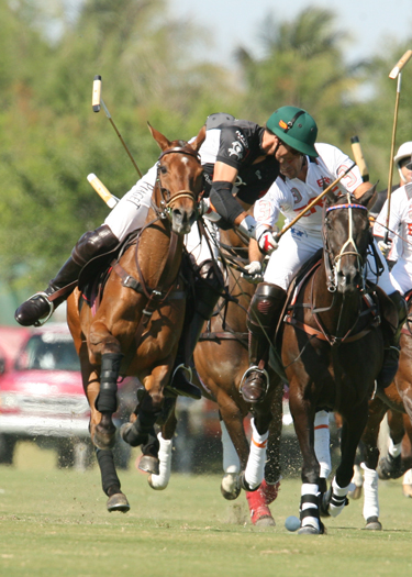 alexpacheco polo photos polo teams erg ipc polo club florida 7