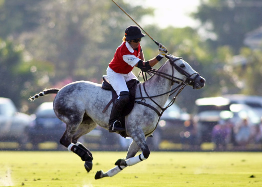 zacara coca polo teams polo gold cup ipc polo clu 3