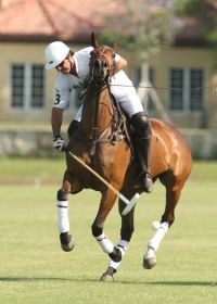 pacheco polo photo phelps