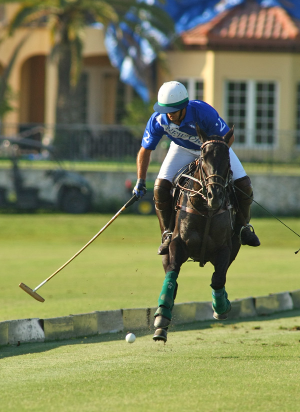 polo game yp com audi polo team pacheco ph 5