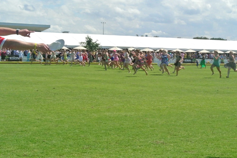 DSC 8061
