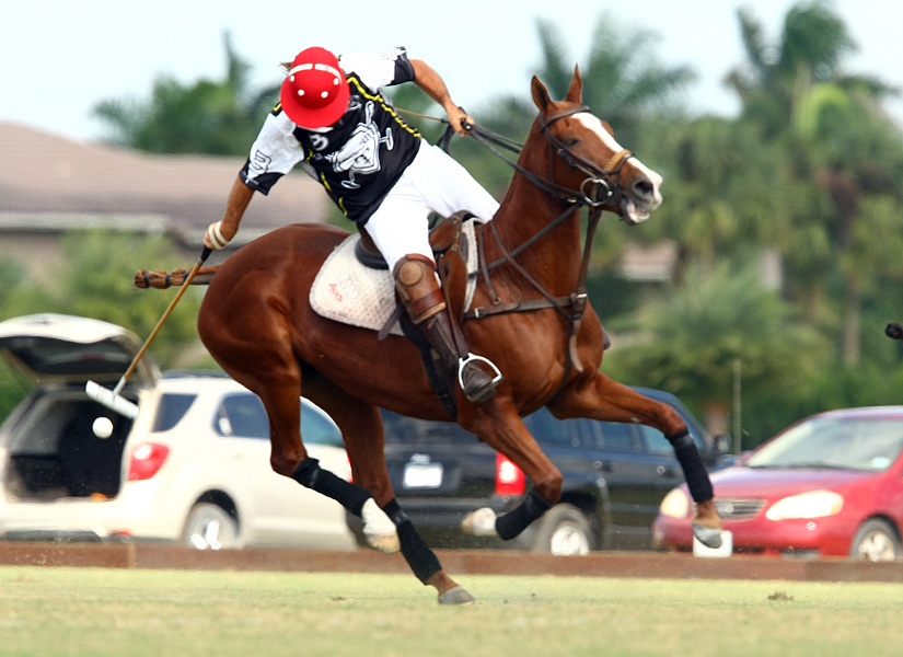 pachecophotospolomagazinepolotournamentpolocuppedromorrisonmemorialcupconsolation 5