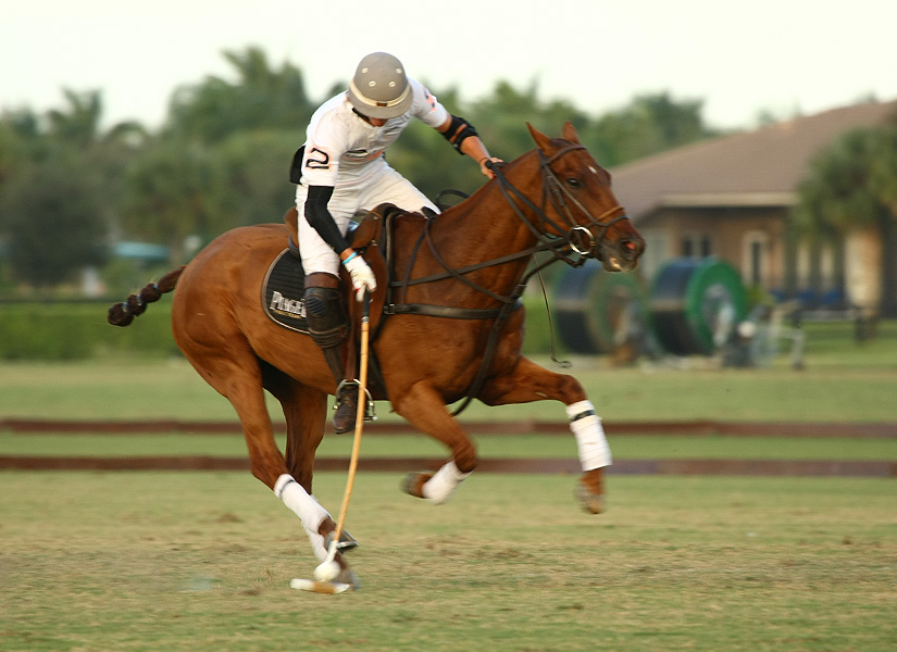 polomagazinepedromorrisonpolocuppachecophotos 5