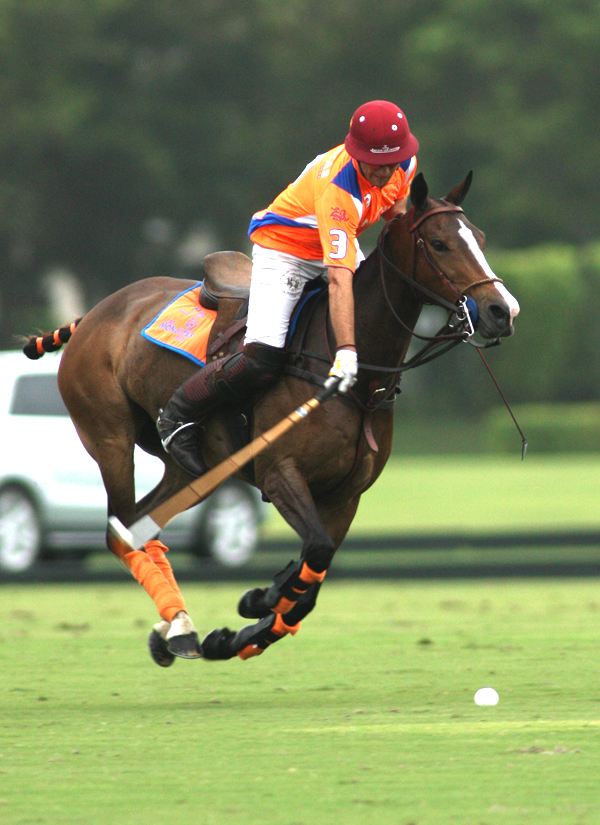 joebarrypolotournamentmemorialcup2014pachecophotospolomagazine 7
