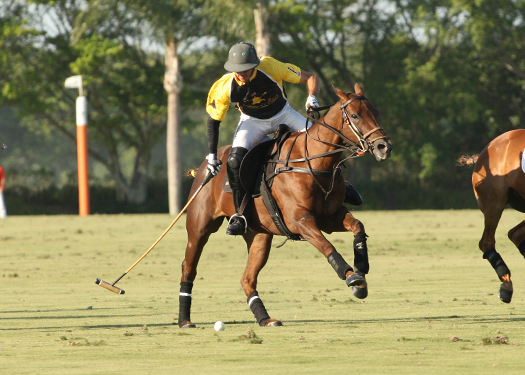 alexpacheco polo magazine alegria faraway polo us open 2013 ipc florida polo 1