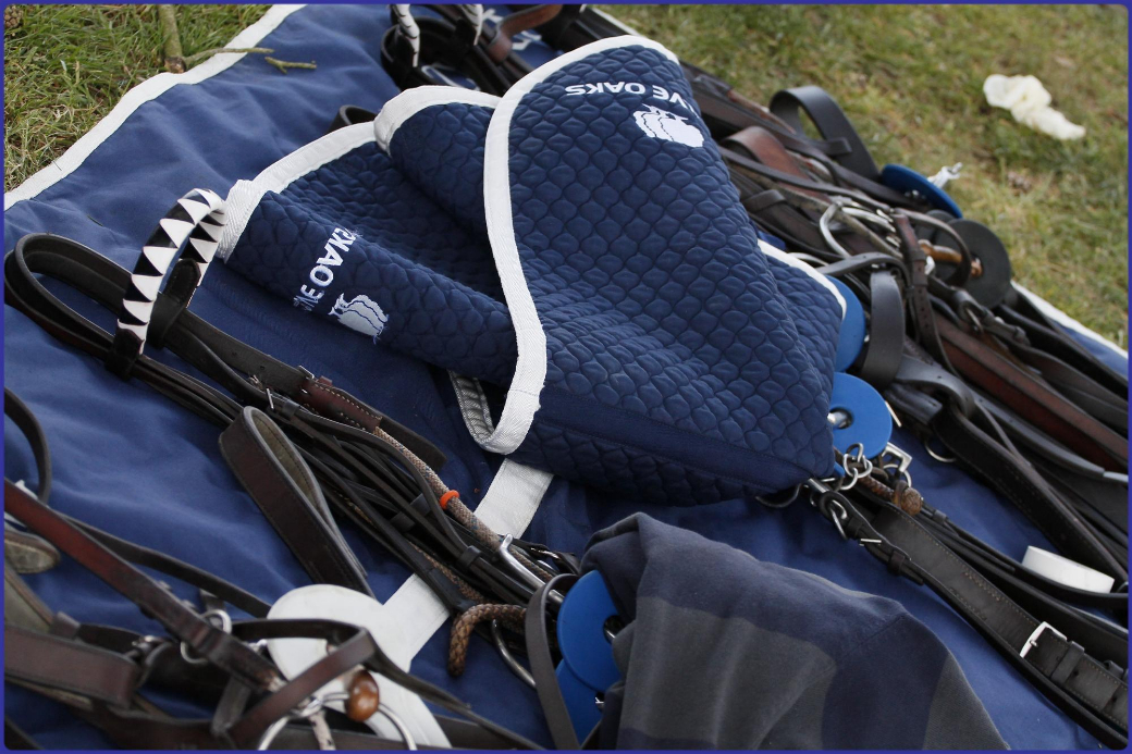 queens cup polo tournament polo uk magazine photos celine genonceau 2